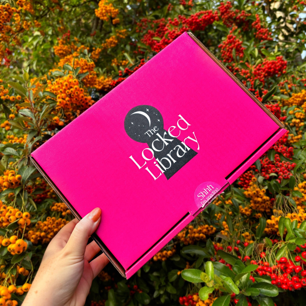 The Locked Library | The Locked Library