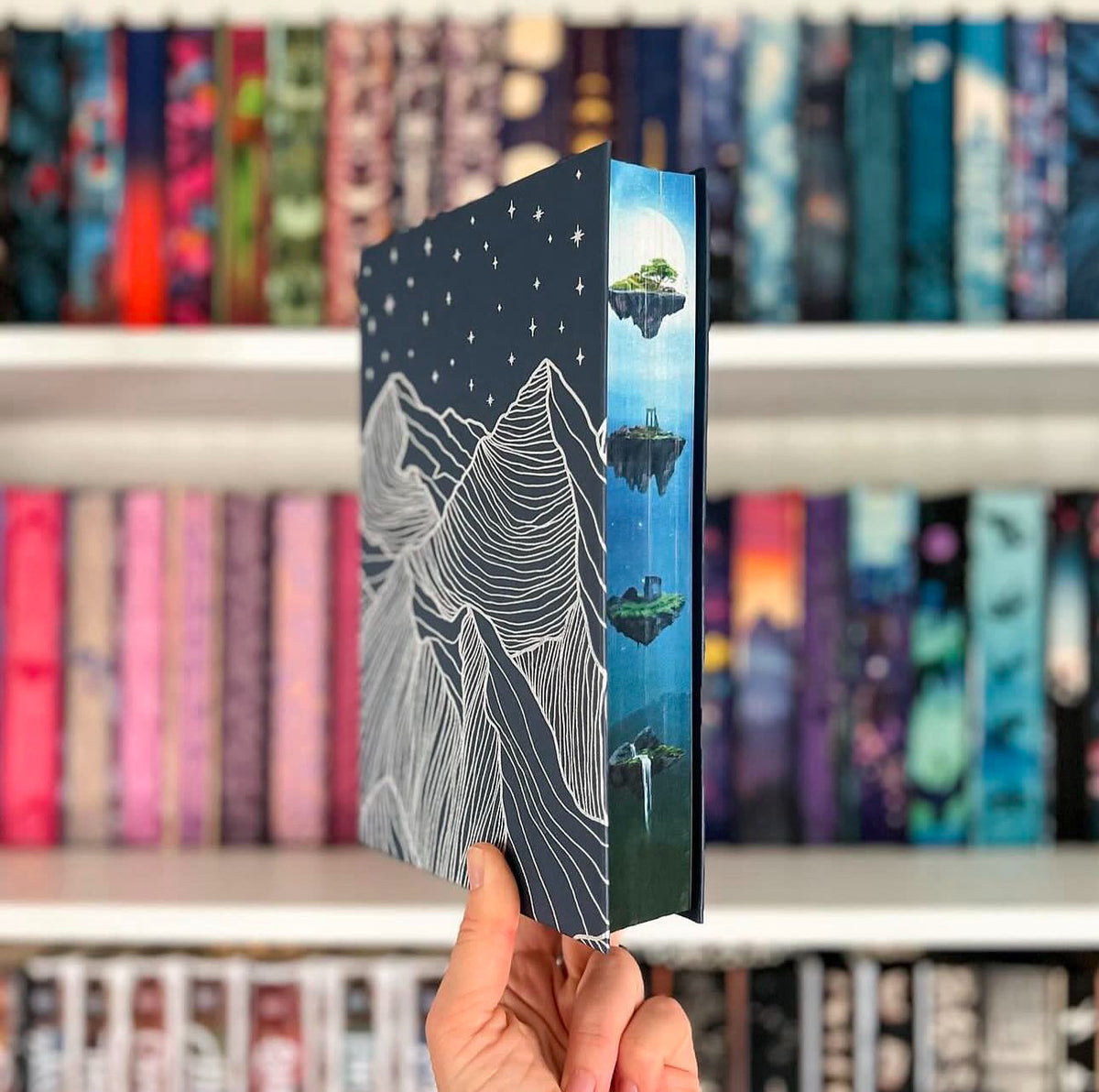 The Locked Library August 2024: A Blessing & A Curse | The Locked Library